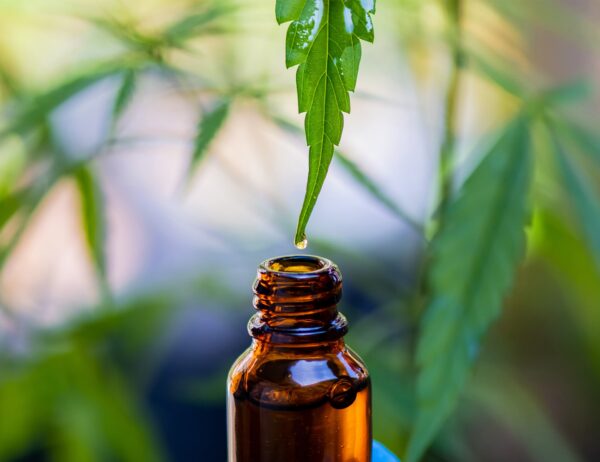 A Closer Look at CBD Oil Extraction Methods