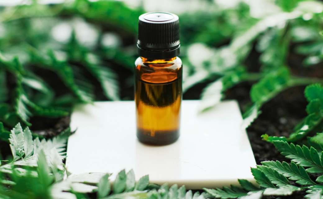 Cannabis Clones Kaufen