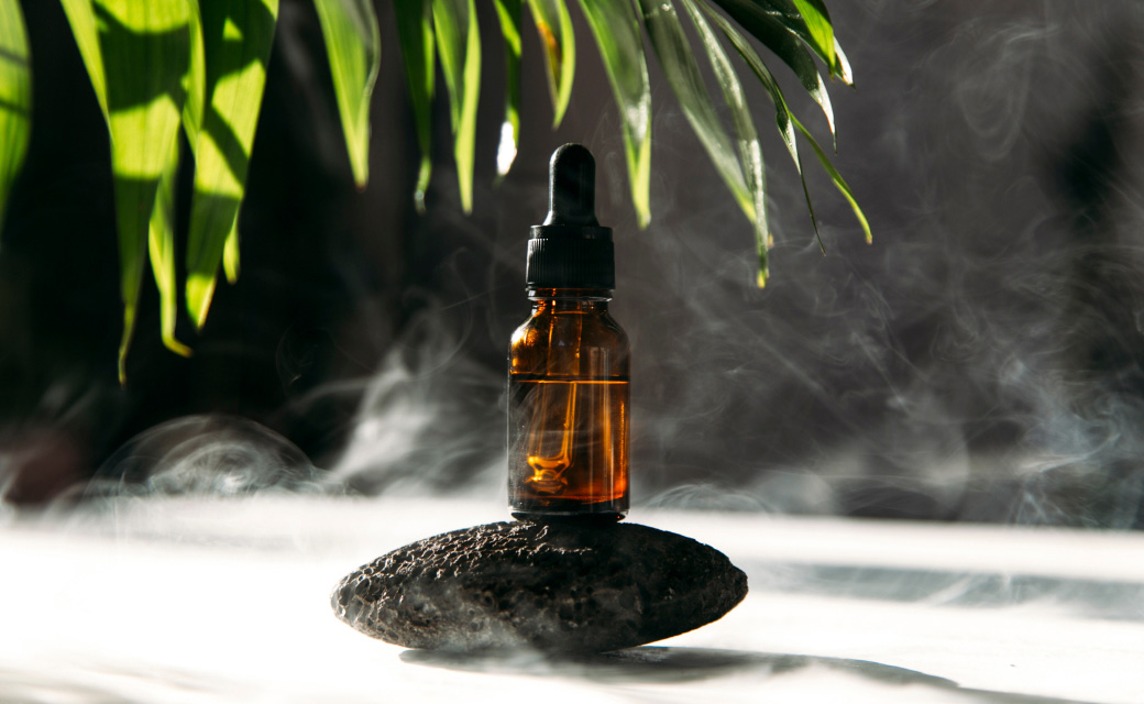 Autoflower Stecklinge Kaufen